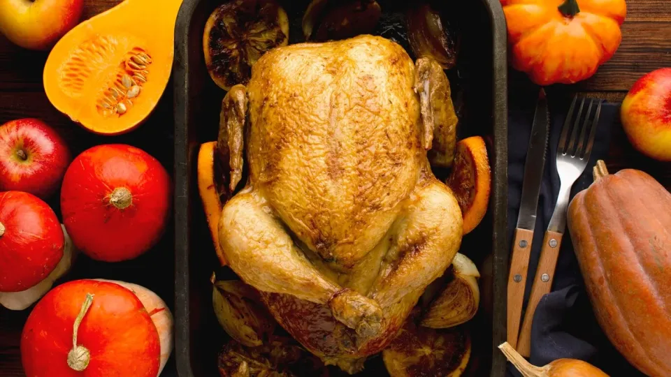 envase para pollos plástico